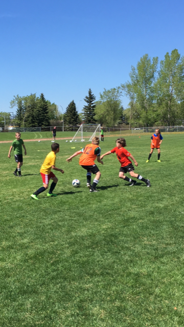 Register NOW: 2019 Mini Stars Residential Camp – Alberta Soccer